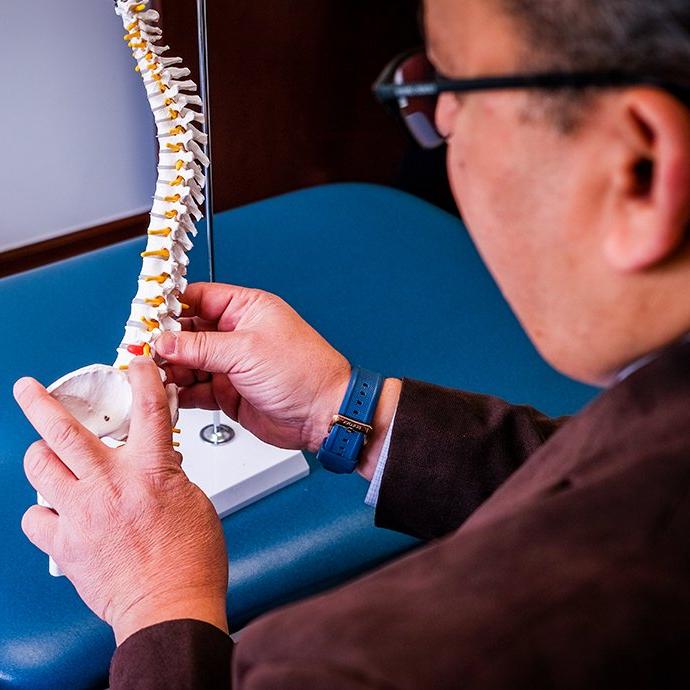 A man working with a model of a human spine