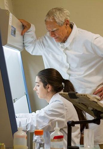 Two people working in a lab